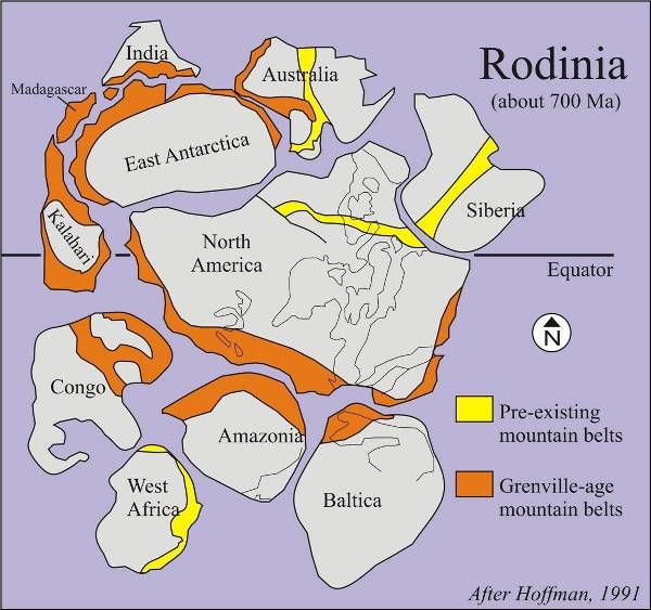 A line drawing map of the supercontinent Rodinia