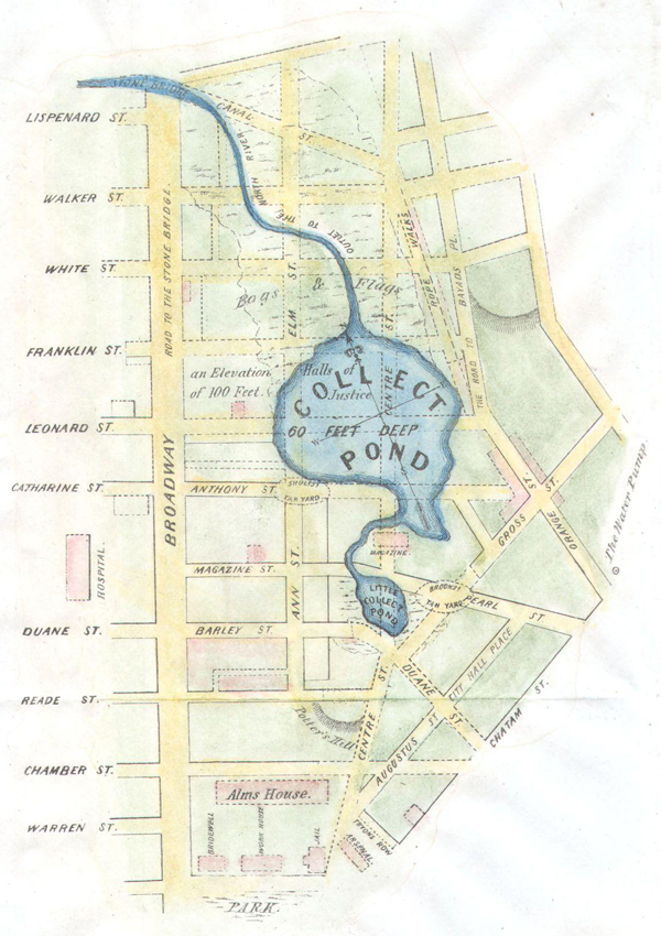 An illustrated map of Collect pond.